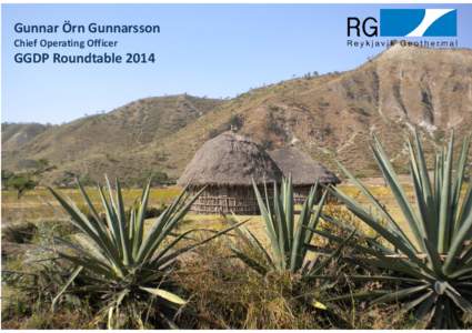 Microsoft PowerPoint - Session[removed]Gunna Orn Gunnarsoon - RG Presentation for GGDP Roundtable - October 2014