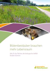 Blütenbestäuber brauchen mehr Lebensraum Wie Eh da-Flächen die biologische Vielfalt fördern können  1.