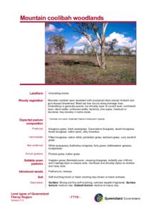 Microsoft Word - FT19_Mountain_coolibah_woodlands.doc