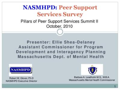 NASMHPD: Peer Support Services Survey Pillars of Peer Support Services Summit II October, 2010  Presenter: Ellie Shea-Delaney