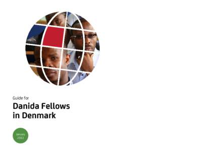 Guide for  Danida Fellows in Denmark January 2013