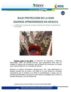 002  BAJO PROTECCIÓN DE LA DIAN EQUINOS APREHENDIDOS EN ARAUCA •