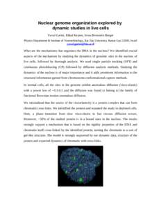 Chromatin / Cell nucleus / Anomalous diffusion / DNA / Chromosome / ChIA-PET / Histone H1 / Biology / Molecular genetics / Organelles