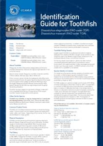 ID Guide PatToothFish_ENG_A4
