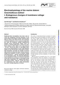 Membrane biology / Nervous system / Cell communication / Membrane potential / Hyperpolarization / Patch clamp / Voltage clamp / Ion channel / Depolarization / Biology / Electrophysiology / Neurophysiology