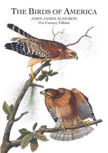 THE BIRDS OF AMERICA JOHN JAMES AUDUBON 21st Century Edition 1