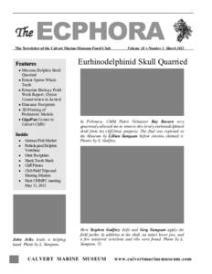 The  ECPHORA The Newsletter of the Calvert Marine Museum Fossil Club