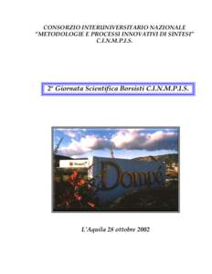 CONSORZIO INTERUNIVERSITARIO NAZIONALE “METODOLOGIE E PROCESSI INNOVATIVI DI SINTESI” C.I.N.M.P.I.S. 2a Giornata Scientifica Borsisti C.I.N.M.P.I.S.