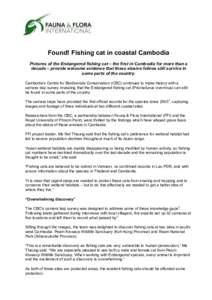 Microsoft Word - Media release fishing cat found in Cambodia .docx