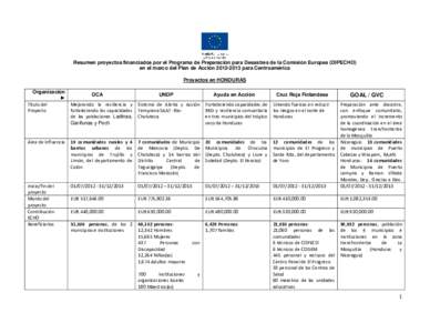 Ficha ResumenProyectosSocios DIPECHO VIII HND final