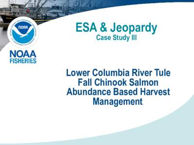 ESA & Jeopardy Case Study III Lower Columbia River Tule Fall Chinook Salmon Abundance Based Harvest