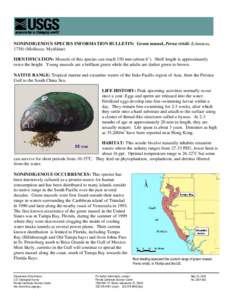 NONINDIGENOUS SPECIES INFORMATION BULLETIN: Green mussel, Perna viridis (Linnaeus, [removed]Mollusca: Mytilidae) IDENTIFICATION: Mussels of this species can reach 150 mm (about 6