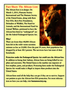 Fact Sheet: The African Lion  © SanWild Wildlife Sanctuary The African lion is in danger. On March 1, 2011, Humane Society
