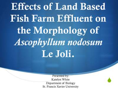 Effects of Land Based Fish Farm Effluent on the Morphology of Ascophyllum nodosum Le Joli. Presented by: