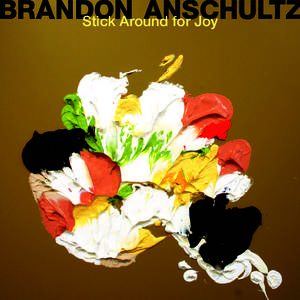 BRANDON ANSCHULTZ Stick Around for Joy BRANDON ANSCHULTZ