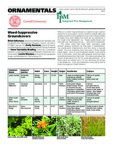 ORNAMENTALS  www.nysipm.cornell.edu/factsheets/n_gh/groundcovers.pdf[removed]Integrated Pest Management