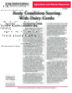 Body Condition Scoring With Dairy Cattle - FSA4008