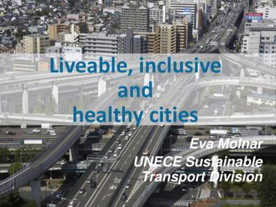 Business / United Nations Development Group / United Nations Economic Commission for Europe / Land transport / Transport / Sustainability / Economy / Poverty / Mobility / International relations