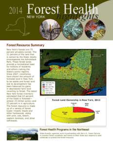 2014  Foresthighlights Health NEW YORK
