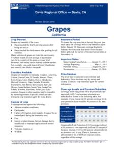 Davis Regional Office California Grapes Fact Sheet