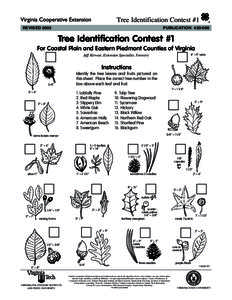 Tree Identification Contest #1 REVISED 2003 *  PUBLICATION[removed]
