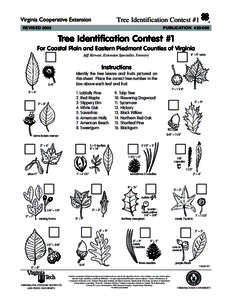 Agriculture in the United States / Rural community development / Blacksburg /  Virginia / Pinus taeda / Virginia Cooperative Extension / Virginia Polytechnic Institute and State University / Cooperative extension service / Pinus echinata / Flora of the United States / Southern United States / Virginia