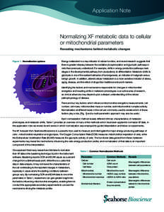 Application Note  Normalizing XF metabolic data to cellular or mitochondrial parameters Revealing mechanisms behind metabolic changes