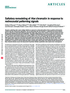 a r t ic l e s  Saltatory remodeling of Hox chromatin in response to rostrocaudal patterning signals  npg