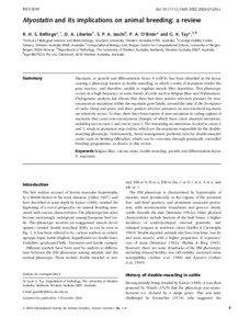 Muscular dystrophy / Myostatin / Belgian Blue / Muscular system / Limousin / Piedmontese / Double-muscled cattle / Meat / Beef cattle / Biology / Cattle / Livestock