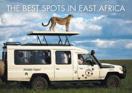 The Best Spots in East Africa  East Africa is the most unique and exciting travel destination on the planet