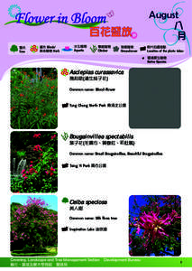 Hong Kong / Biology / Tai Po District / Tsing Yi / Botanical garden / Botany