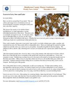 Henderson County Master Gardeners Weekly News Article December 1, 2015  Leaves to Love, Now and Later