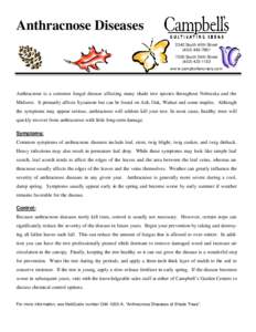 Anthracnose Diseases 2342 South 40th Street[removed]7000 South 56th Street[removed]www.campbellsnursery.com