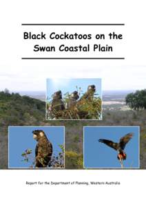 Microsoft Word - Internet_0003747__7__finalBlack_cockatoos_on_Swan_Coastal_Plain_DOP[1].doc