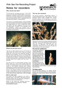 Pink Sea Fan Recording Project  Notes for recorders Why record sea fans? The pink sea fan, Eunicella verrucosa, is one of the two sea fans that grow in British waters. It is found in