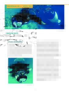 PROPOSAL 46 — VOTE YES!  PHOTO: GUY STEVENS > MANTA RAYS Sponsored by Brazil, Colombia, Ecuador