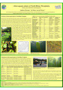Alien aquatic plants of North Rhine-Westphalia - history, present distribution and management -