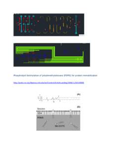 Phospholipid biotinylation of polydimethylsiloxane (PDMS) for protein immobilization  http://pubs.rsc.org.libproxy.mit.edu/en/Content/ArticleLanding/2006/LC/b515840k 