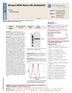 AKT / Cell signaling / Phosphoinositide 3-kinase / Mammalian target of rapamycin / Sirolimus / Phosphorylation / GSK-3 / P70S6 kinase / Biology / Protein kinases / Signal transduction