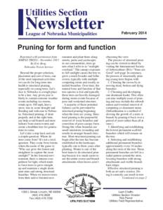 Utilities Section  Newsletter February 2014