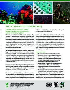 Biology / Convention on Biological Diversity / Sustainable development / Traditional knowledge / Law / Environmental science / International Treaty on Plant Genetic Resources for Food and Agriculture / Commission on Genetic Resources for Food and Agriculture / Biodiversity / Commercialization of traditional medicines / Environment