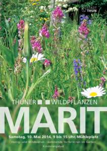 THUNER  WILDPFLANZEN Samstag, 10. Mai 2014, 9 bis 15 Uhr, Mühleplatz Honig- und Wildbienen - summende Helferinnen im Garten