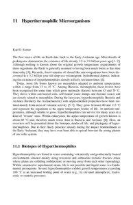 Aquificae / Geysers / Thermophiles / Hyperthermophile / Pyrobaculum / Thermoproteus / Ignicoccus / Crenarchaeota / Thermotoga maritima / Microbiology / Bacteria / Biology