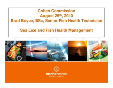 Cohen Commission August 25th, 2010 Brad Boyce, BSc, Senior Fish Health Technician Sea Lice and Fish Health Management  Sea Lice Management