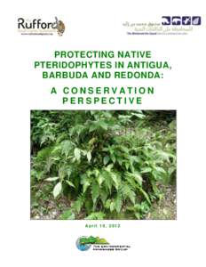 PROTECTING NATIVE PTERIDOPHYTES IN ANTIGUA, BARBUDA AND REDONDA: A CONSERVATION PERSPECTIVE