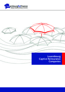 Luxembourg Captive Reinsurance Companies 2 3