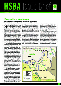 HSBA Issue Brief FOR SUDAN AND SOUTH SUDAN Small Arms Survey HSBA Available in Arabic