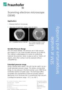 Scanning electron microscope (SEM) Application:  Appraisal of polymers, stone, glass et cetera