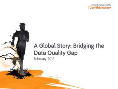 A Global Story: Bridging the Data Quality Gap February 2016 Data Quality Manager Smith & Nephew, Inc.