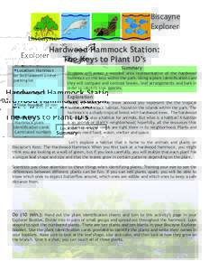 Biscayne Explorer Hardwood Hammock Station: The Keys to Plant ID’s •Location: Hammock